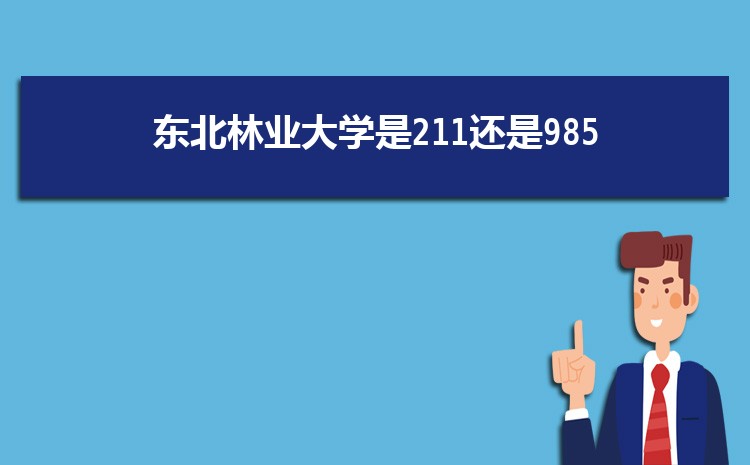 2024궫ҵѧ211985 ȫ211985ѧ